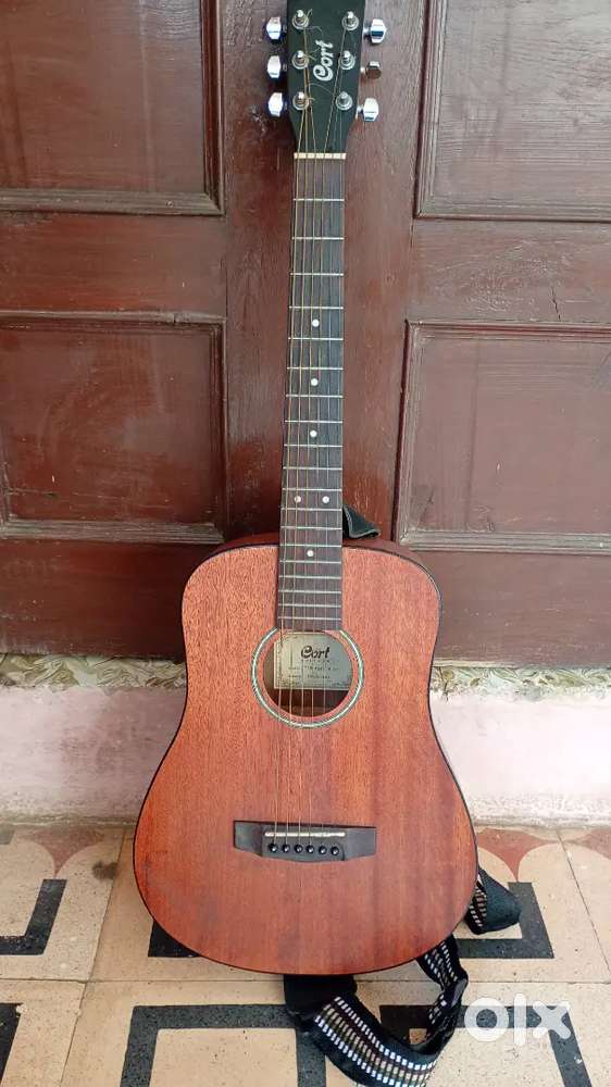 Acoustic guitar