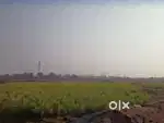 LAND FOR SALE : IN GANGAPUR ( BILLOWA )