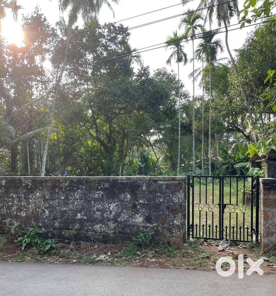 Land for Warehouse - Rent or Lease