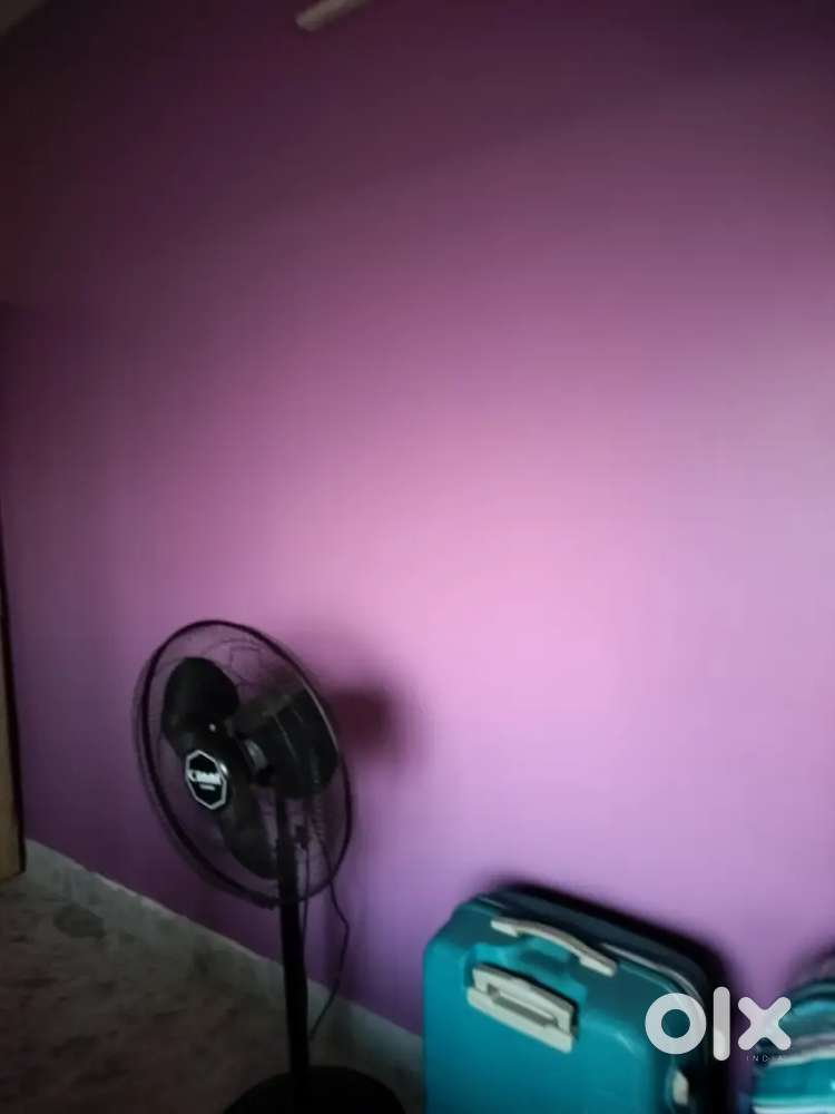Stand fan cinni