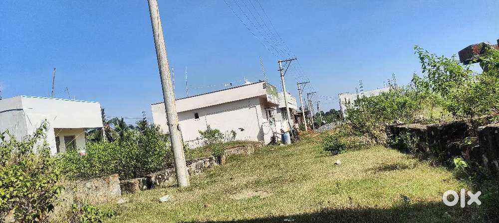 Jagananna bit sell near bhogapuram airport