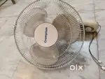 Wall mounted fan