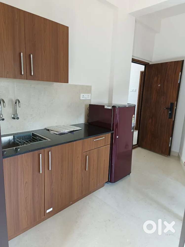 Fully furnished apartment 1bhk rent 17000 near edachira infoparkk