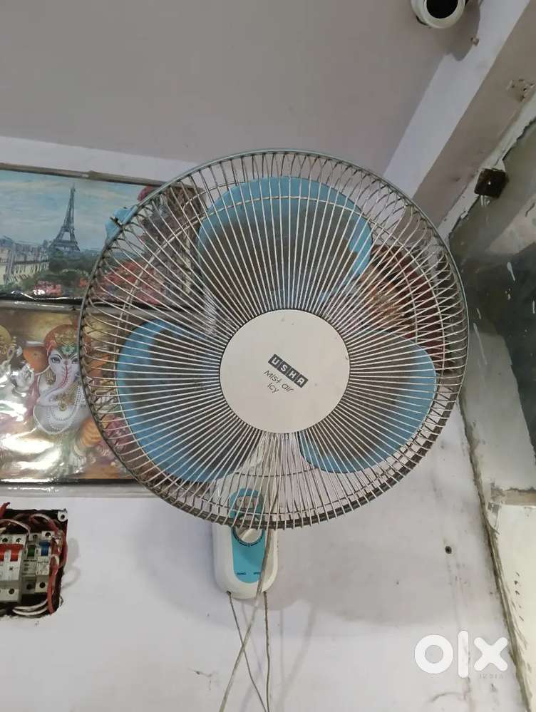 Fan Crompton