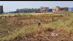 Prime Residential & Commercial Plot for Sale in Chipura, Sampatchak, P