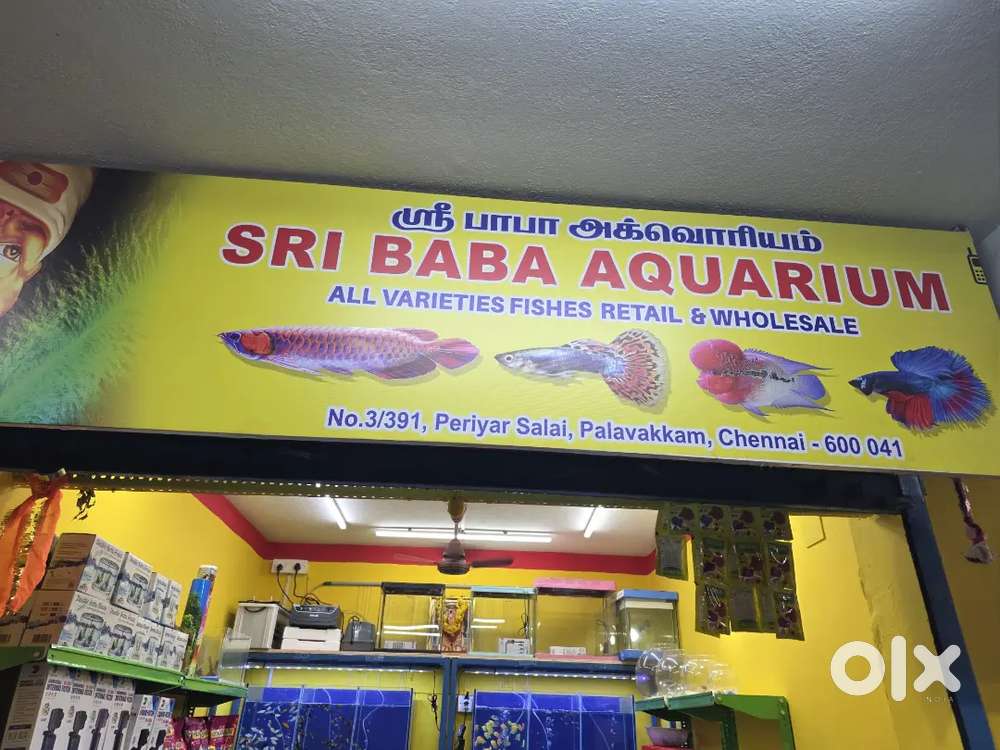 Sales - male / female