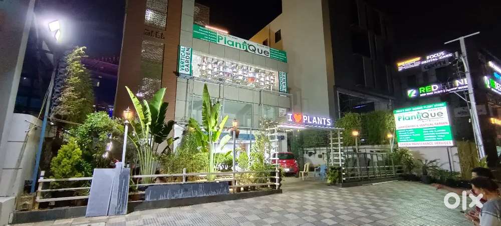 Store In-Charge, Good Looking Female - Graduate