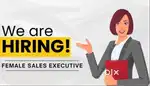 Customer Relationship Executive