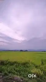 2 bigha 4 kotha Land for Sale
