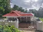 House & plots for sale