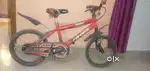 Fawn bicycle