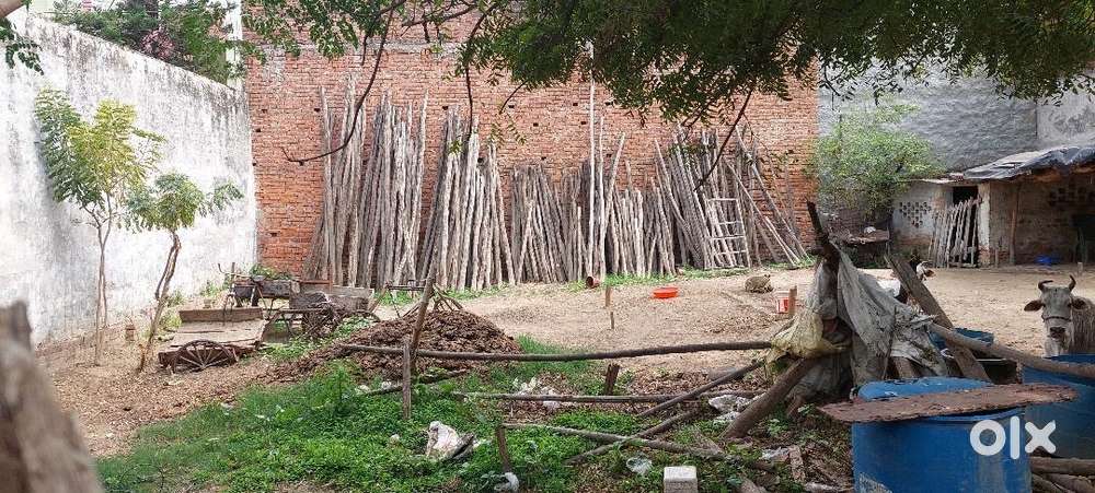 Pritinagar, near Mohibullapur, Lucknow