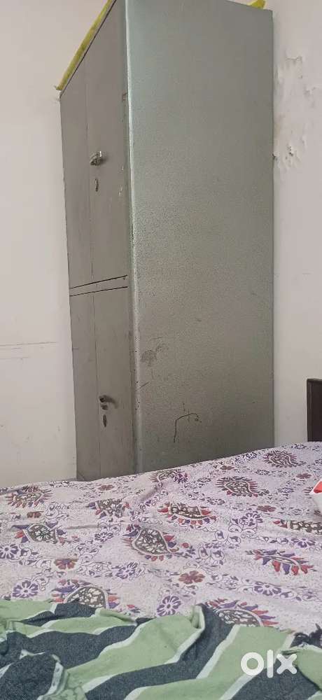 need a room mate