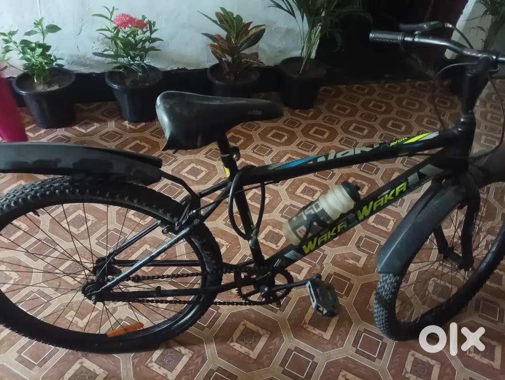 Sikal ma koi kami nai ha bai