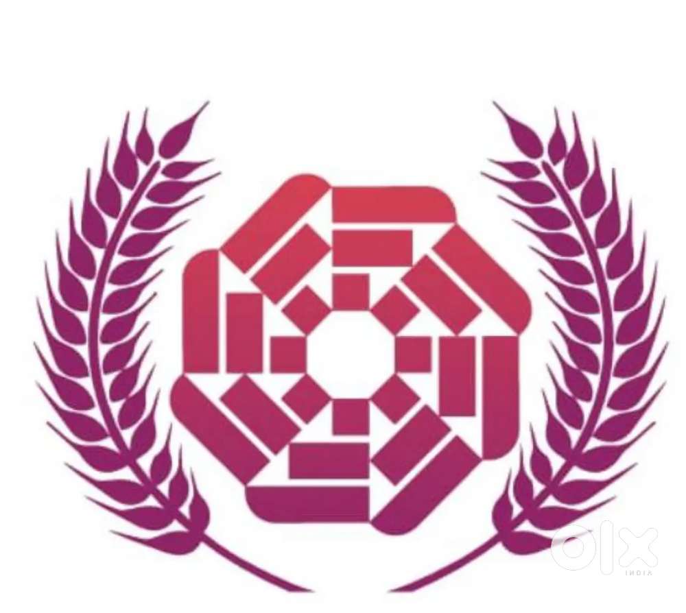 BDO buisness development officer 