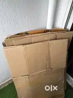 10 Carton Boxes - ₹50 each