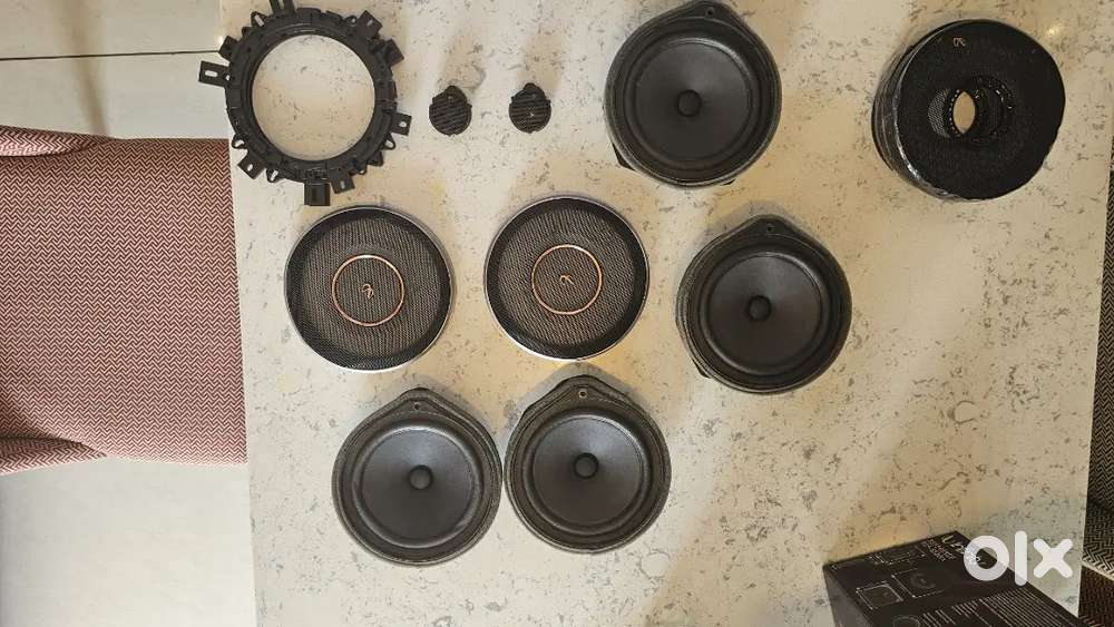 230W OEM speaker FREE Horns