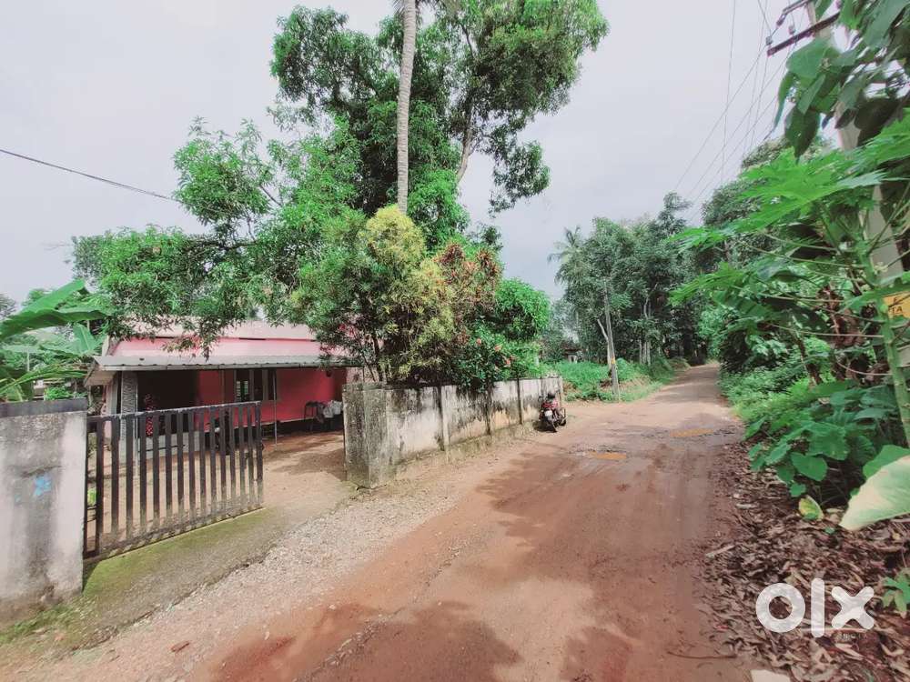 11.5 cent 3bhk old house wide tar road kakkanad pukkattupady 20,/20