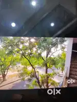 Lalaji ka pg Mohali phase 2 HM 19