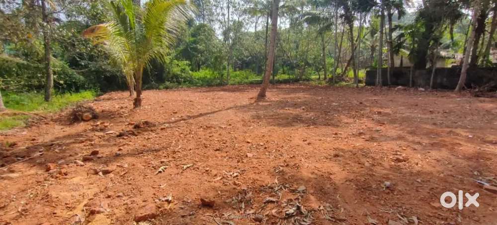 21 Cent Square Plot For Sale,600 Meters Away From TKM college