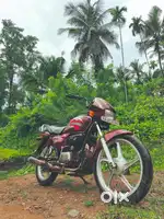 SPLENDOR pro