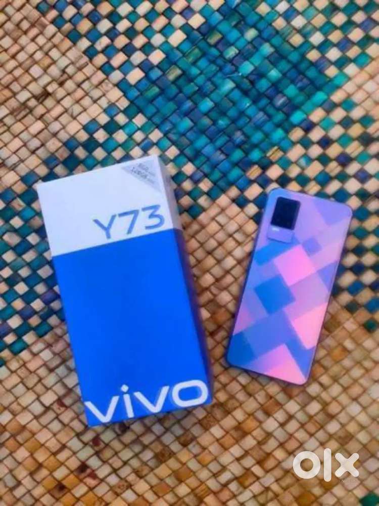 Vivo y73 mobile phone
