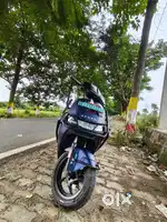 Only 3 month scotty