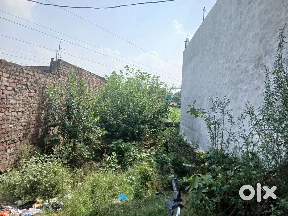 Urgent sale near dadwan road Dhariwal