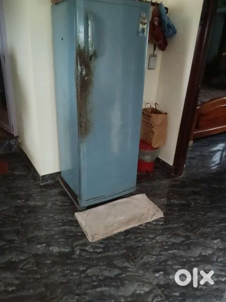 8 years old fridge, door got faded with color