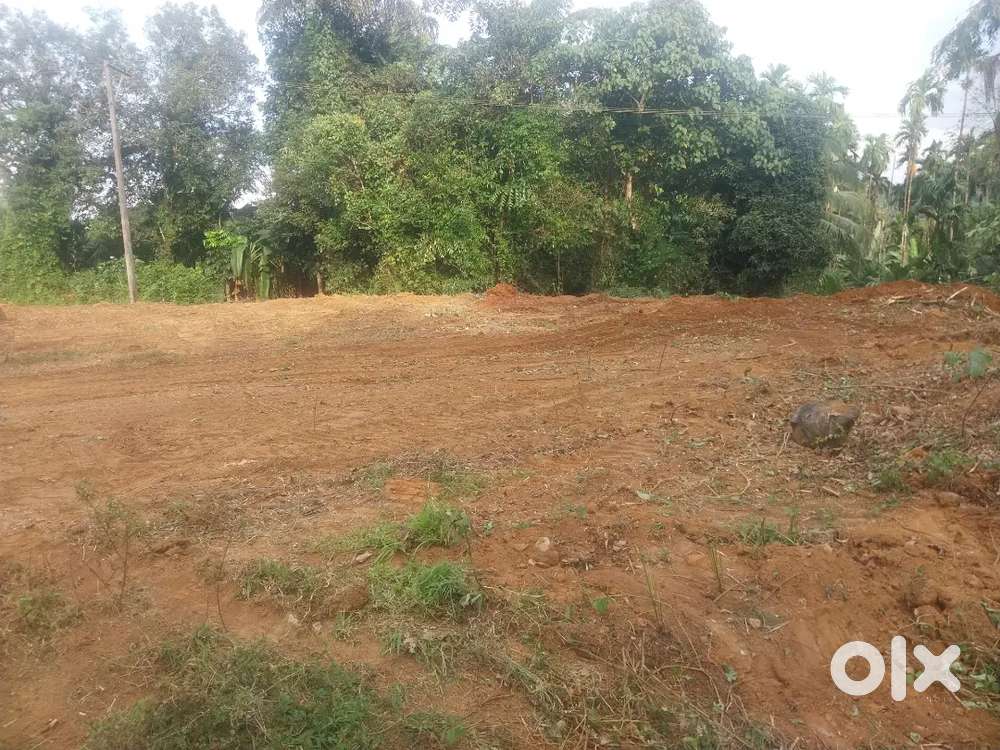 35 cents converted land  perne biliyoor near puttur and uppinagady