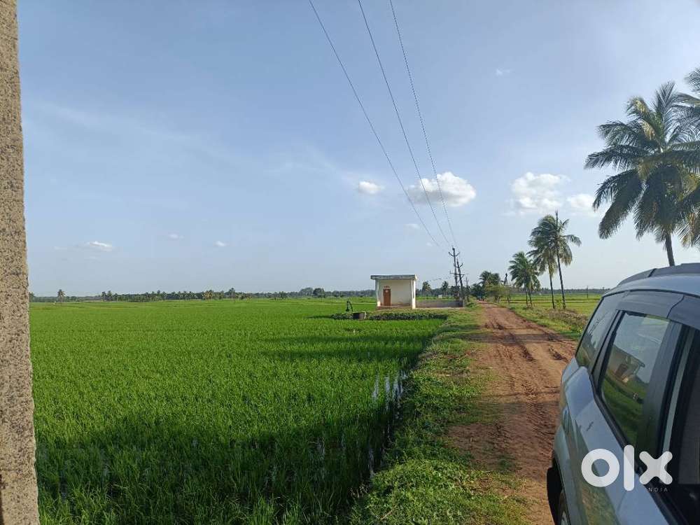 4 acres agriculture land for sale in Muramanda