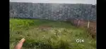 Jat Dumri NH Plot 1 kattha 17 dhoor - 80L Total