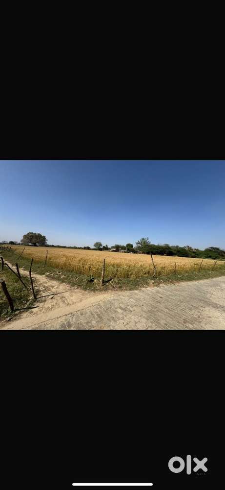 Near marhamtabad air strip ,14.3 bigha dertile agricultural land