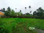Plot for sale 11 cent chendamangalam,paliyam bus route