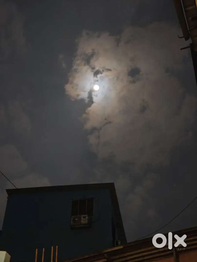 I need start  company.