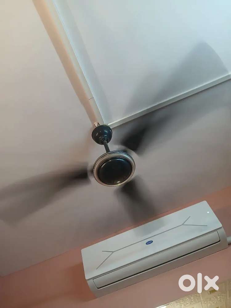 Ceiling Fan