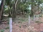 5600sqmt land fr sale in benaulim settlement plot with Sanad