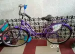 Lady bird (Purple)