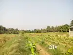 8500 sq yard School N.A PLANPASS land for sell