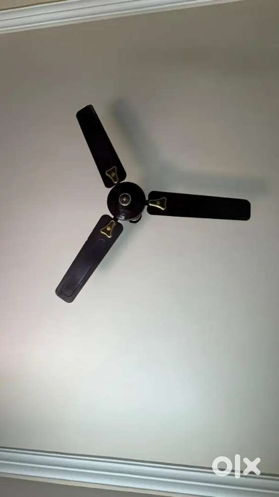 Anchor Fan 48 inch