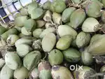 Coconut selling
