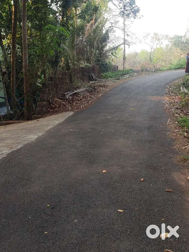 One Acre coconut land tar road facing with water facilities available
