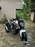 Duke 250 BS4 2019