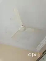 Fans and Tv