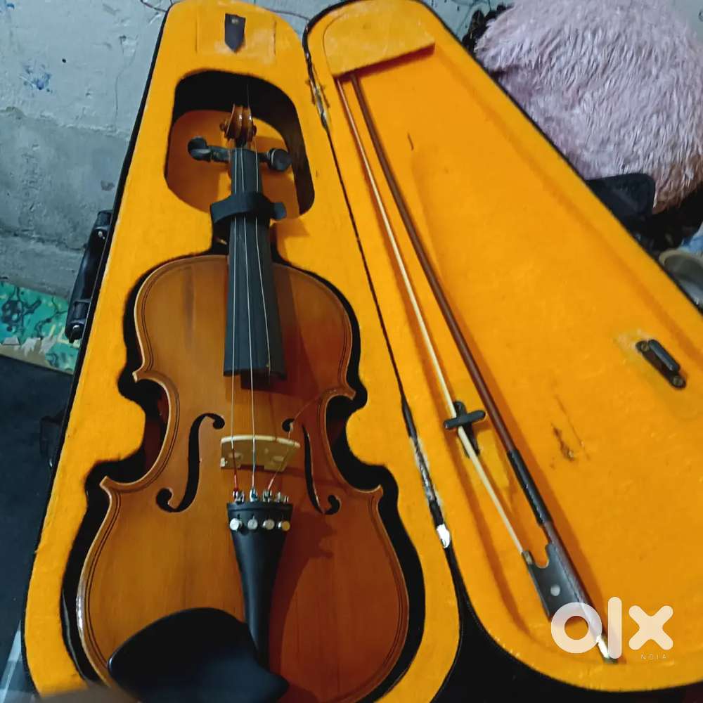 Musical violin
