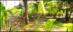 Land for sale at Kaloor, Kochi
