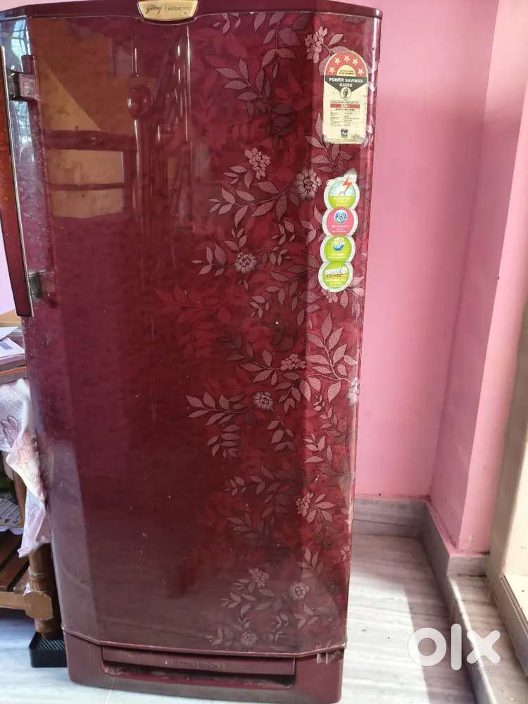 Godrej Edge Pro Refrigerator with 5 Star rating