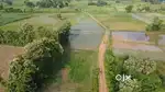 Agriculture Land for sale