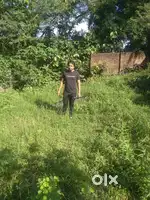 Cheapest property nearby