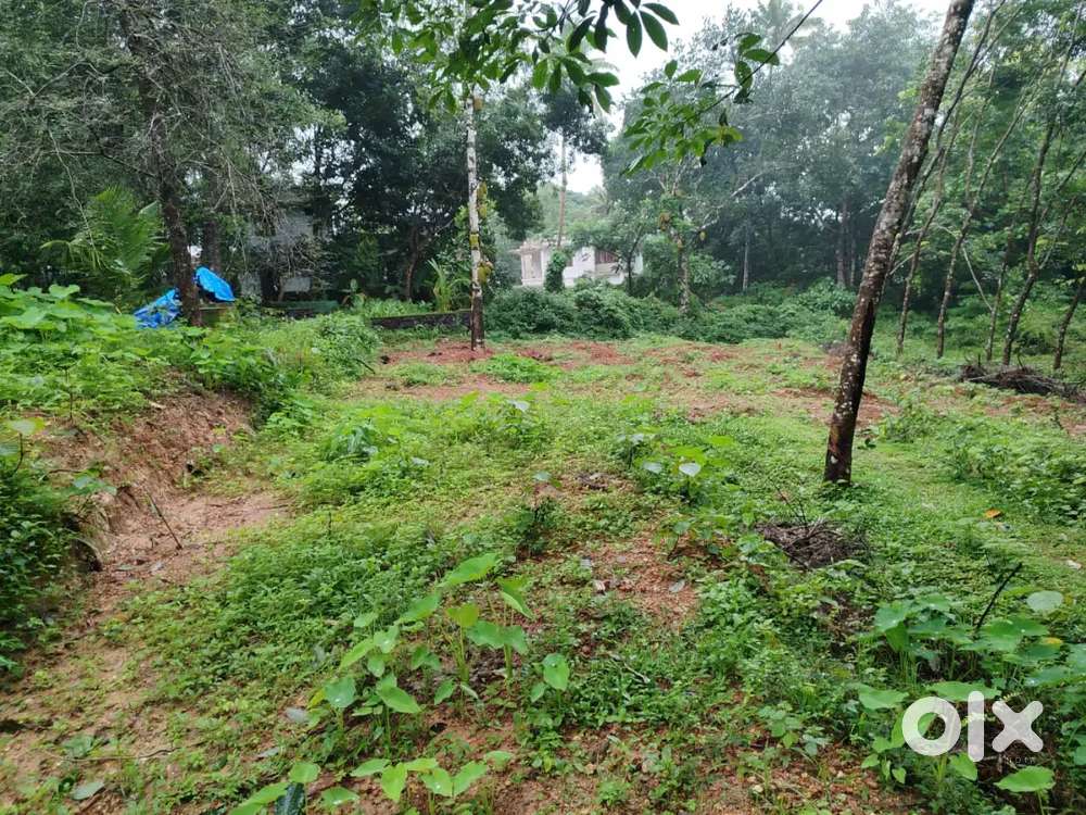 20,5 CENT HOUSE PLOT AVAILABLE NEAR THIRUVANIYOOR